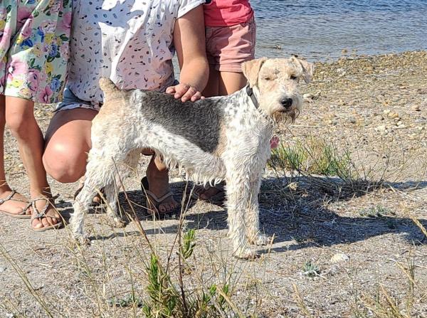 Audrey