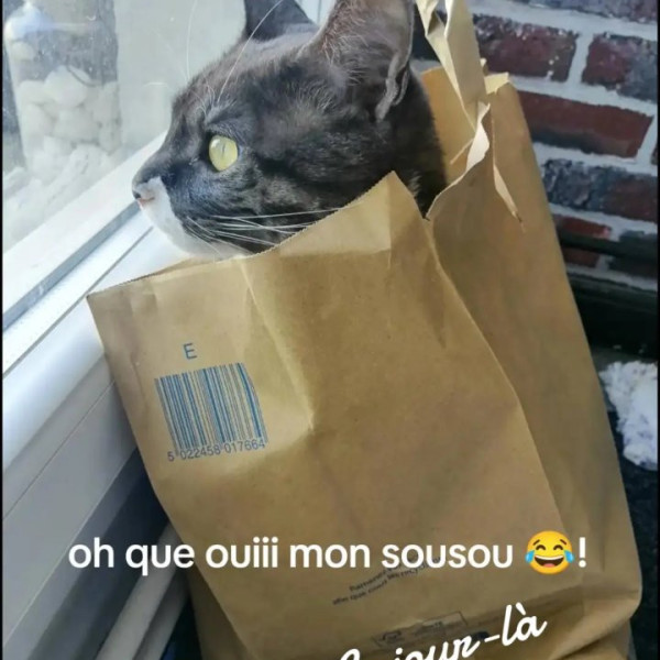 Veronique