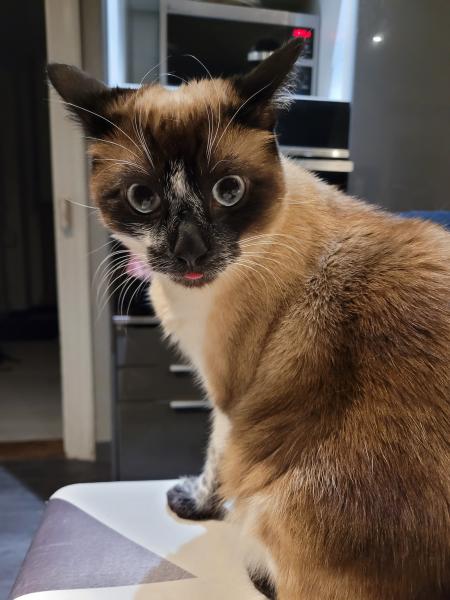 Johanna