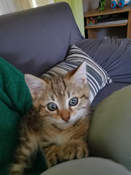 Carla