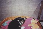 edith