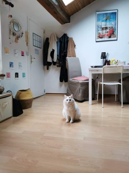Chloé