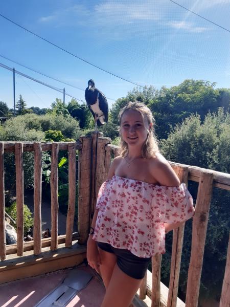 Pauline