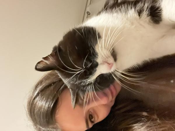Dina