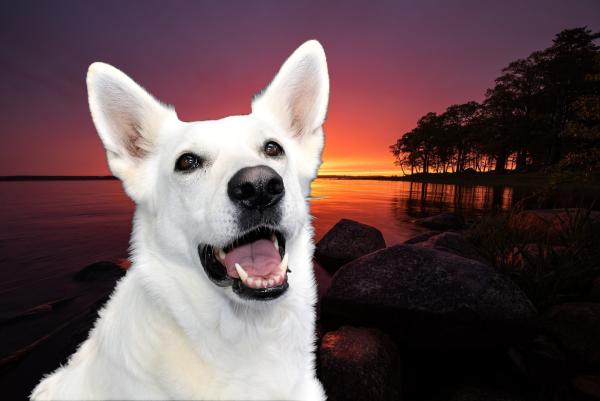 cathy
