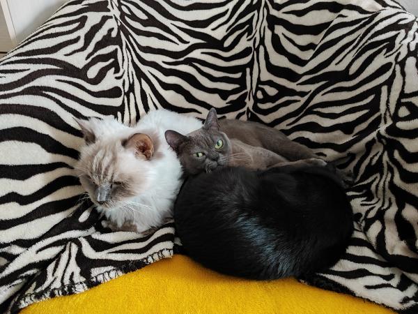 Esther
