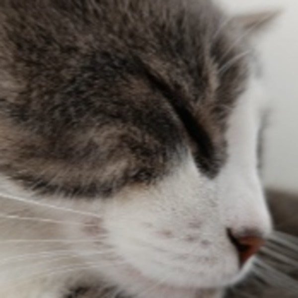 Laëtitia