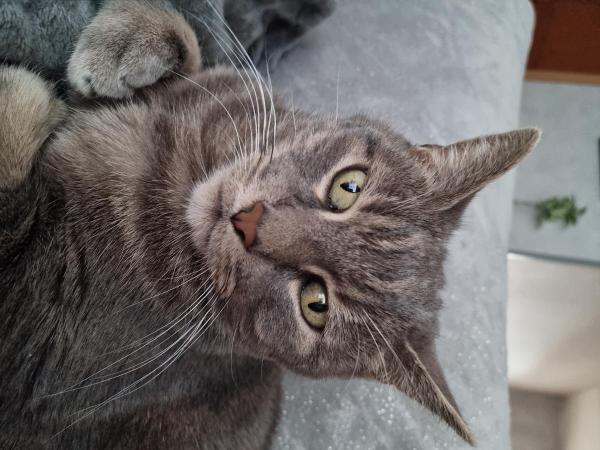 Emmanuelle
