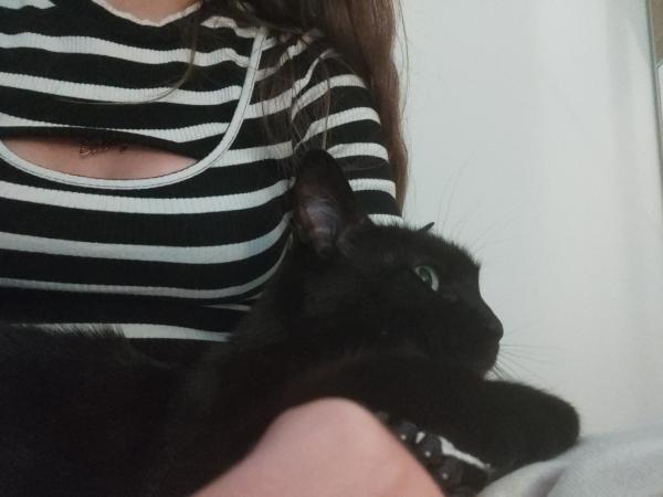 Lola