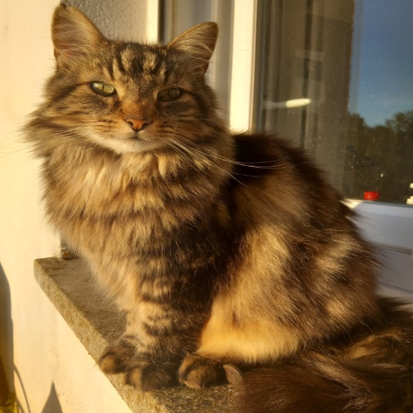 Chloé