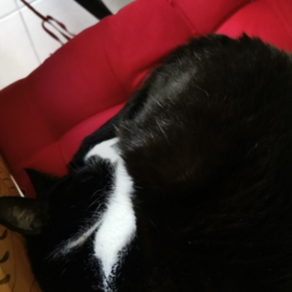 Mathilde