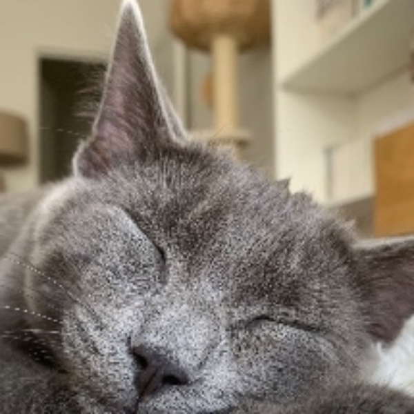 Esther