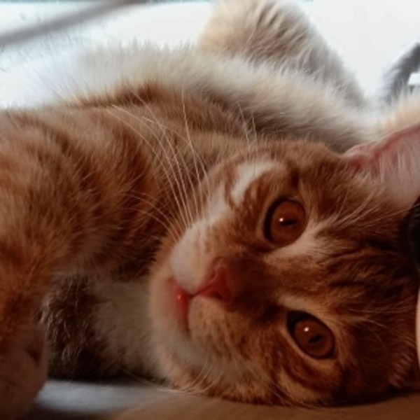 Clara